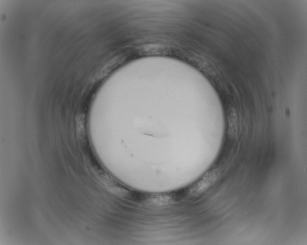 X0000067930278200605112042