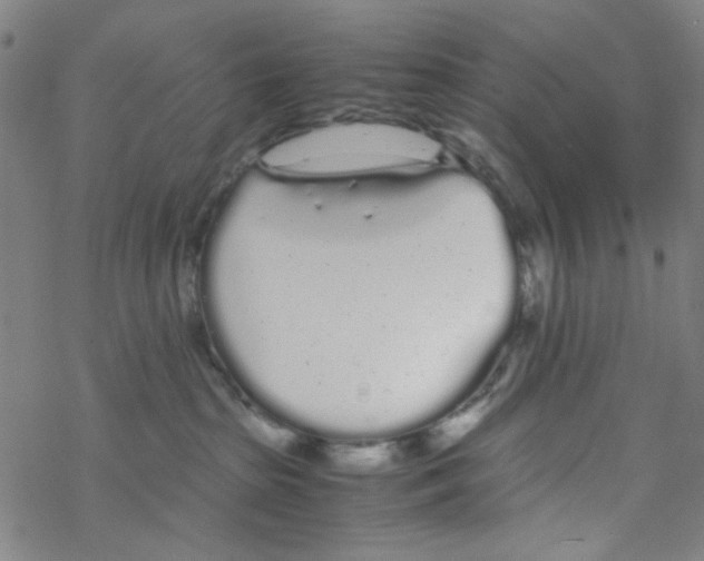 X0000067930285200605112042