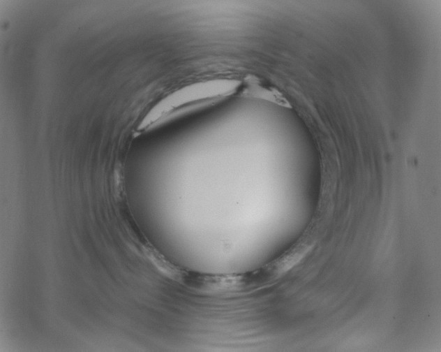 X0000067930288200605112042