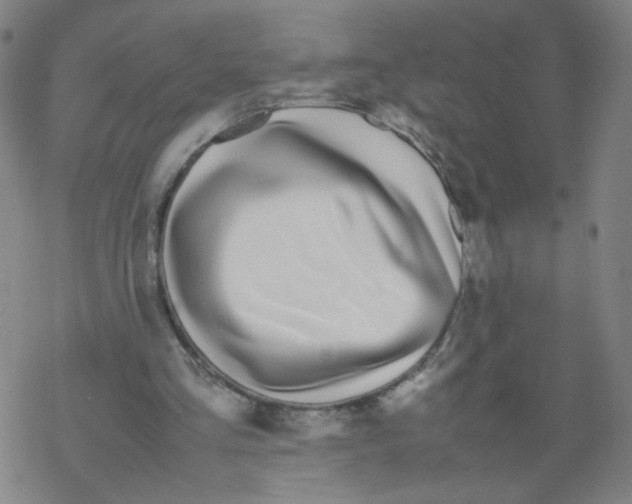 X0000067930293200605112041