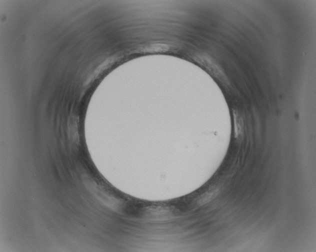 X0000067930300200605112041