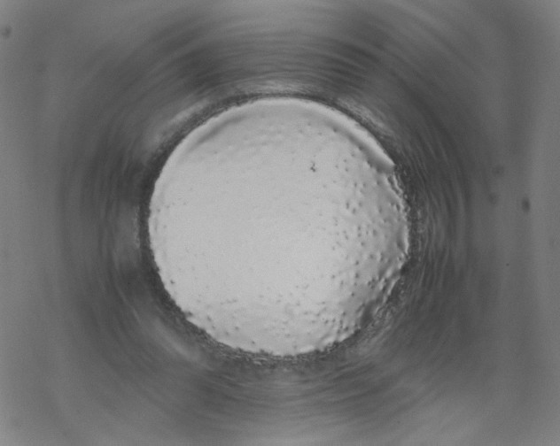 X0000067930302200605112041