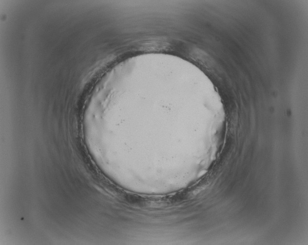 X0000067930303200605112041