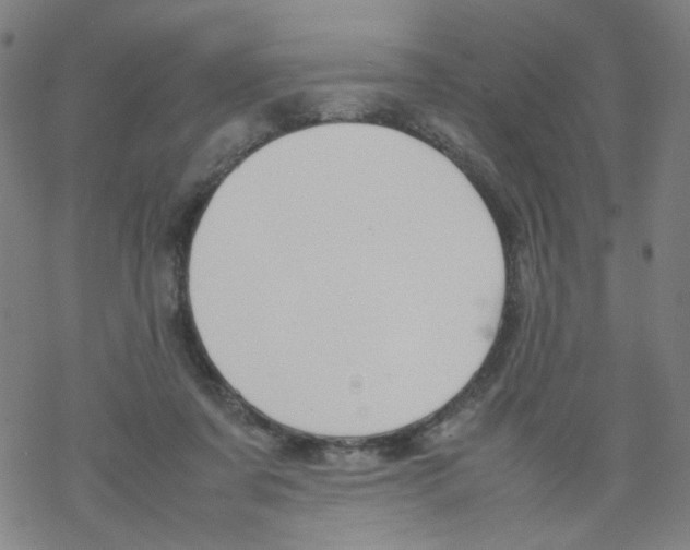 X0000067930311200605112041