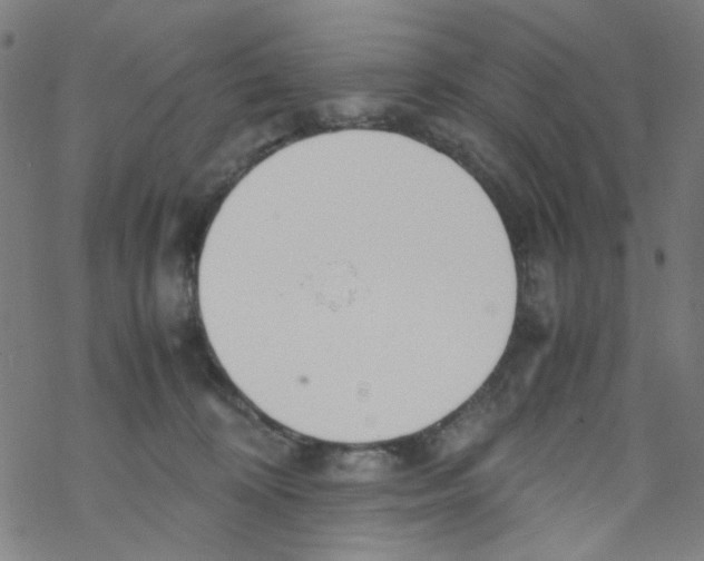 X0000067930324200605112040