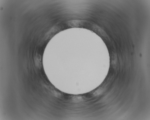 X0000067930332200605112040
