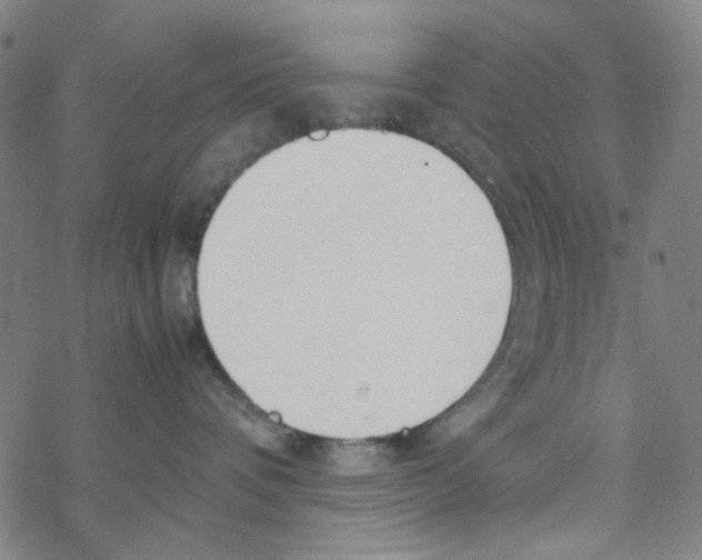 X0000067930336200605112040