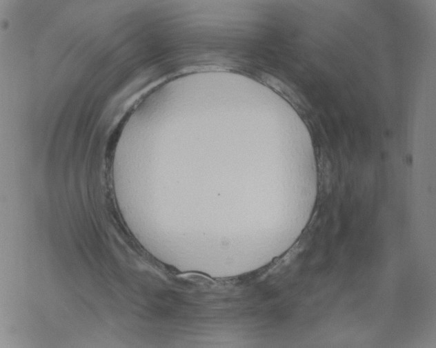 X0000067930338200605112039