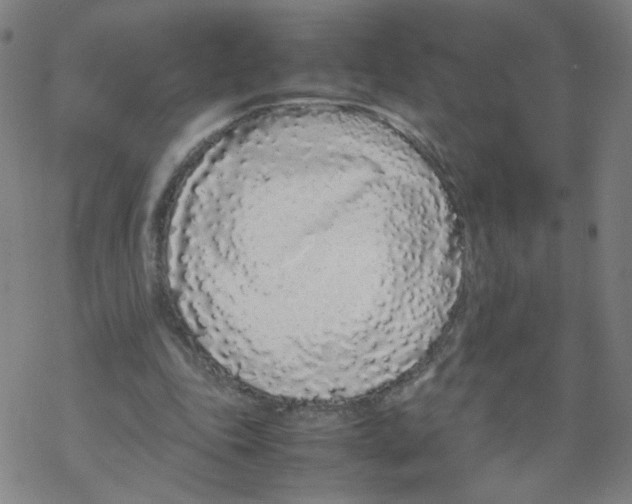 X0000067930343200605112039