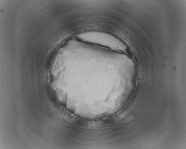 X0000067930355200605112040