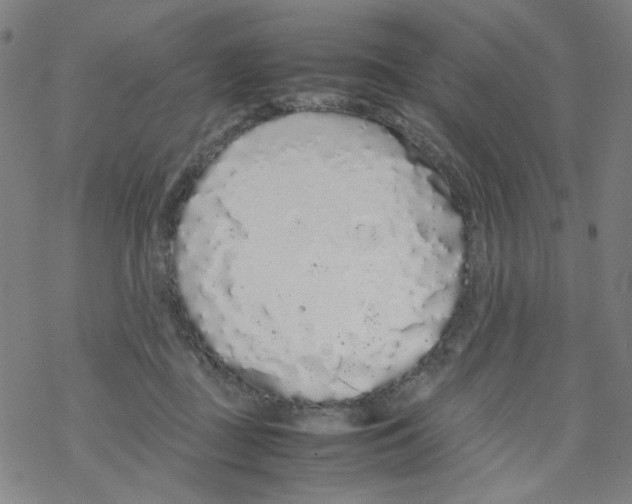 X0000067930363200605112040