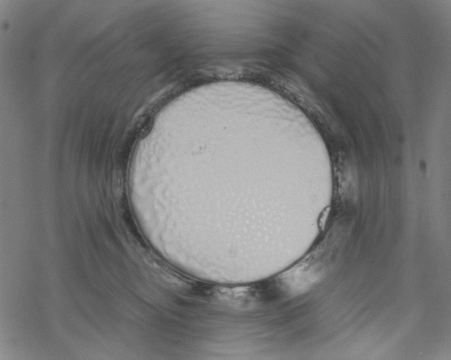 X0000067930374200605112040