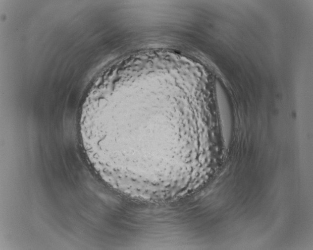 X0000067930386200605112039