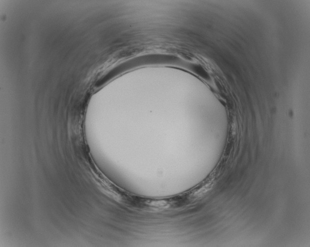 X0000067930409200605112039
