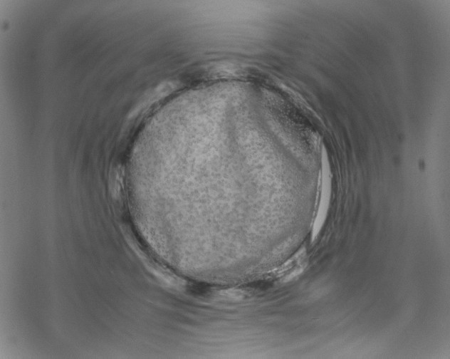 X0000067930423200605112039