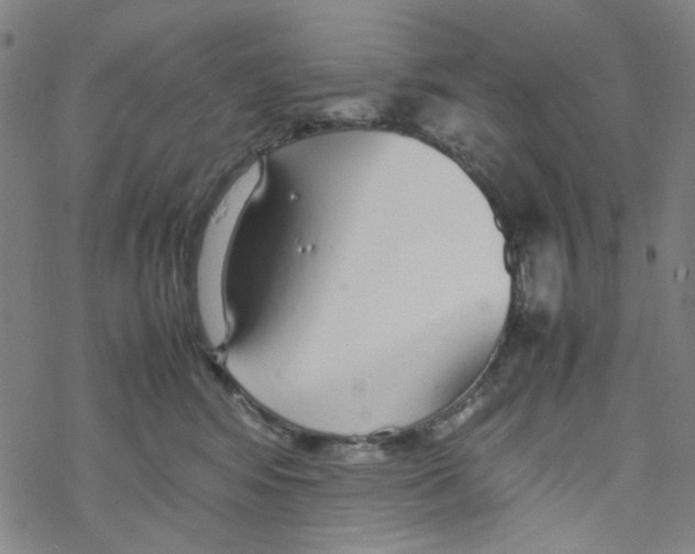 X0000067930424200605112039