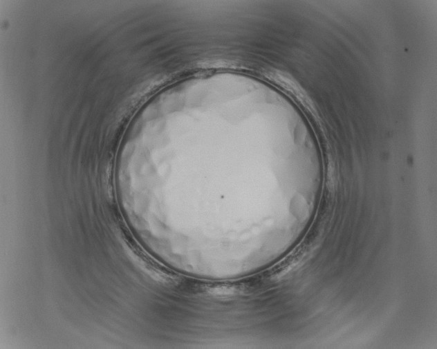 X0000067930441200605112038