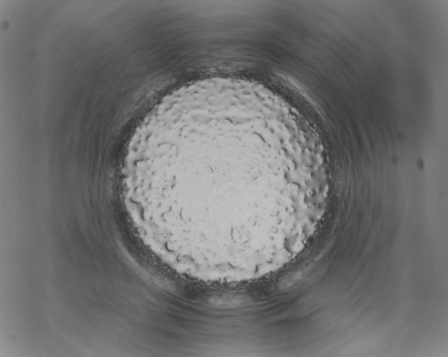 X0000067930451200605112038