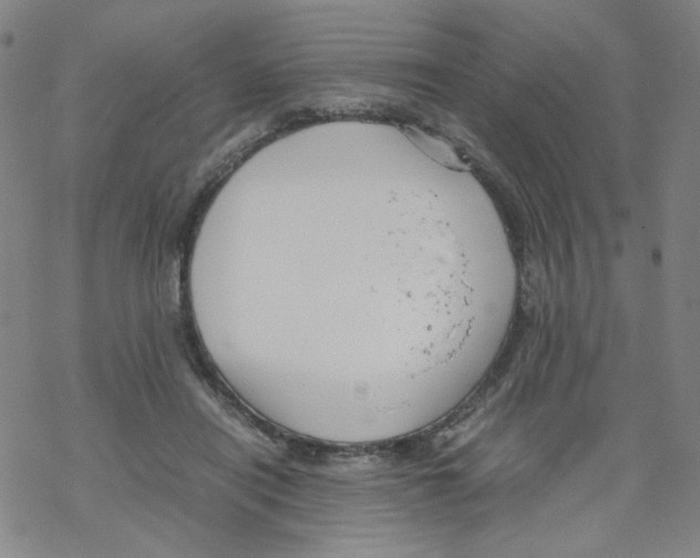X0000067930454200605112038