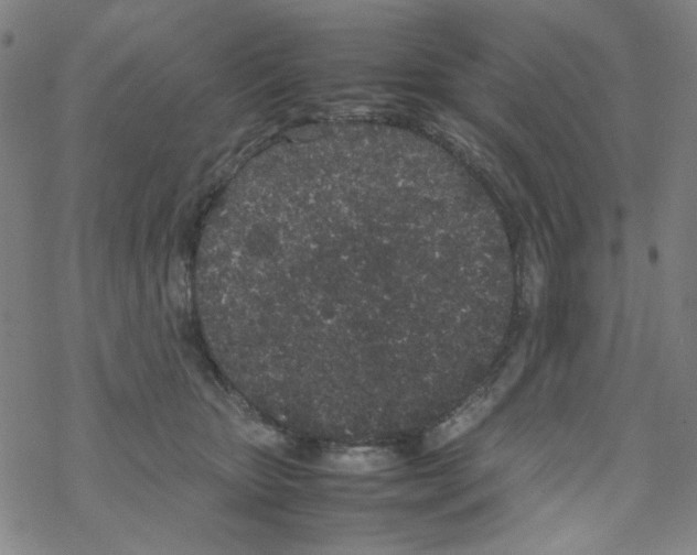 X0000067930467200605112038
