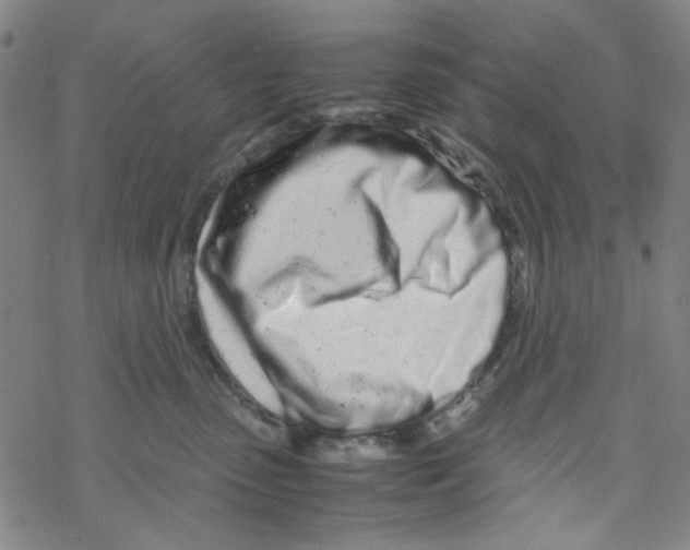 X0000067930475200605112038