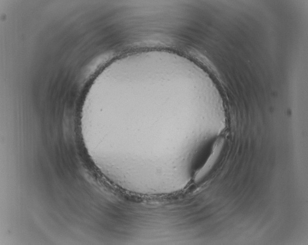 X0000067930482200605112038