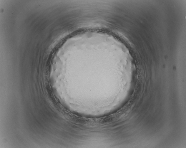 X0000067930487200605112038