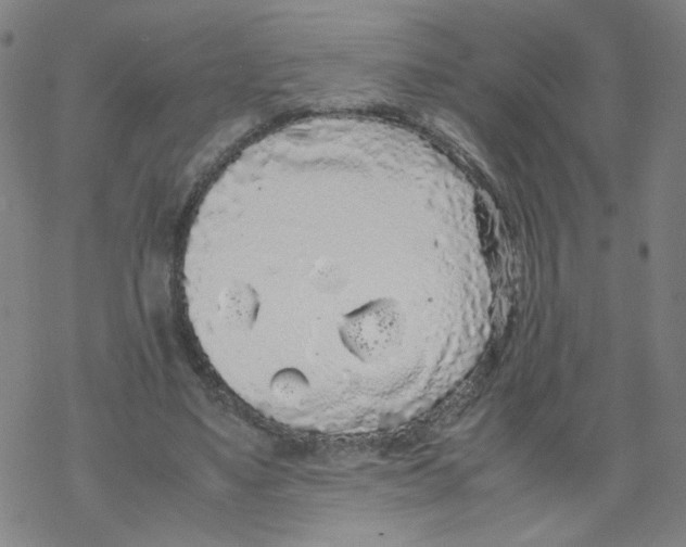 X0000067930491200605112038