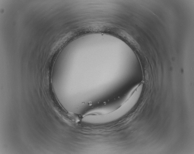 X0000067930493200605112038