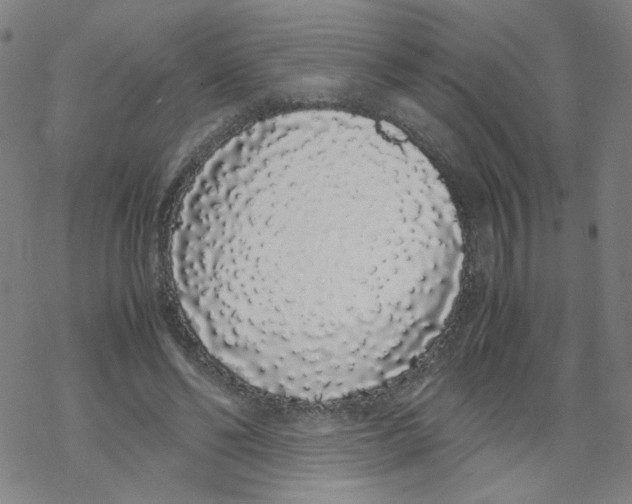 X0000067930494200605112038