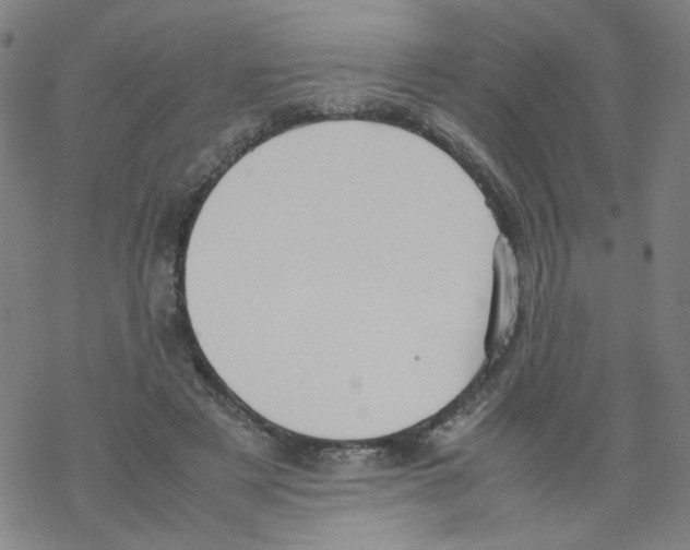 X0000067930497200605112038