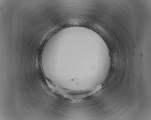 X0000067930500200605112037