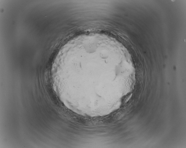 X0000067930503200605112037