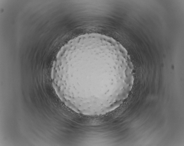 X0000067930506200605112037