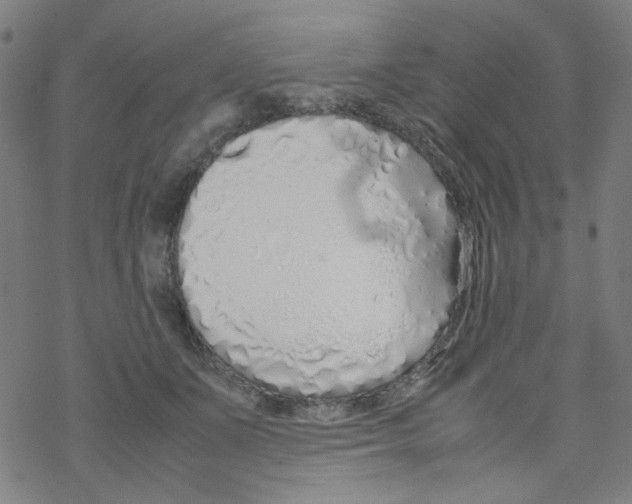 X0000067930511200605112037