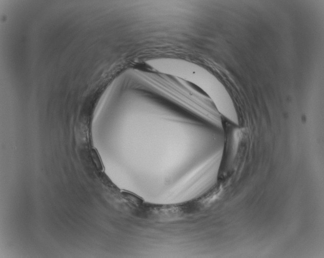 X0000067930517200605112037
