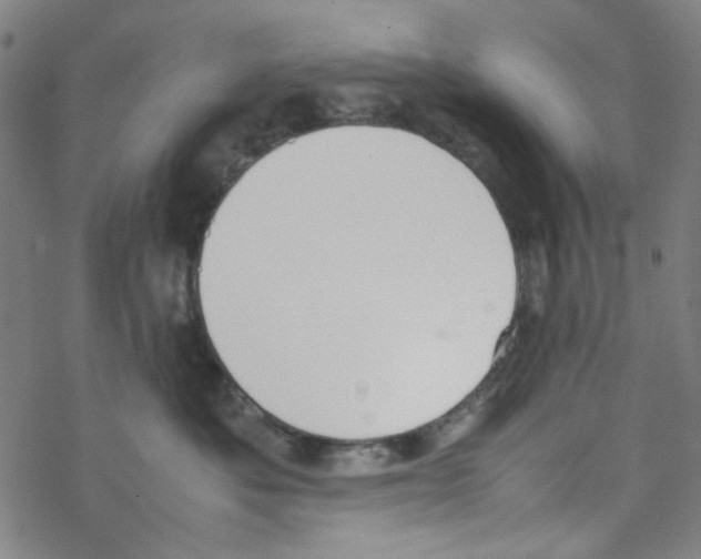 X0000067930525200605112037