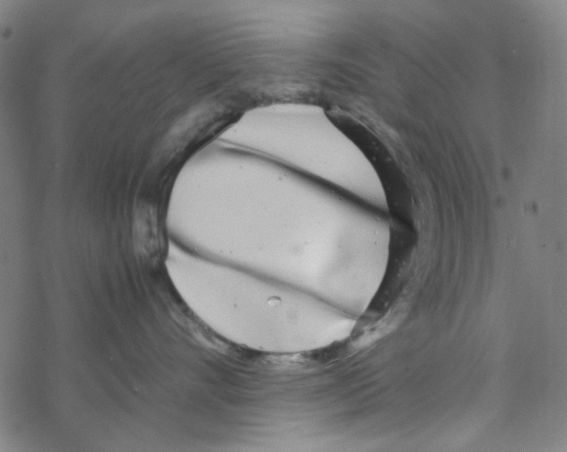 X0000067930528200605112037