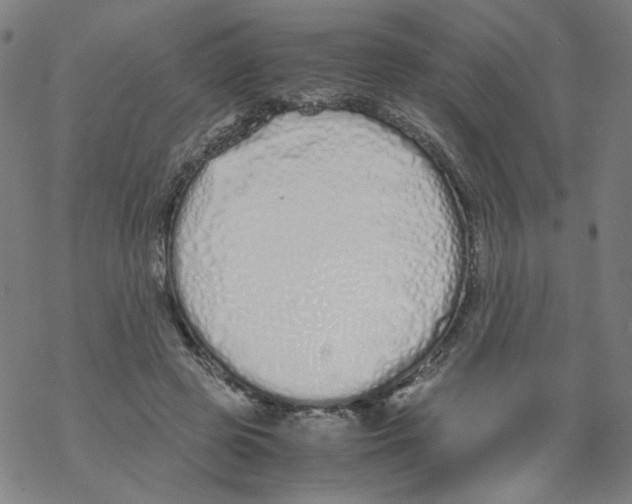 X0000067930545200605112036