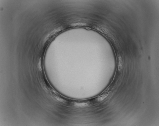 X0000067930547200605112037