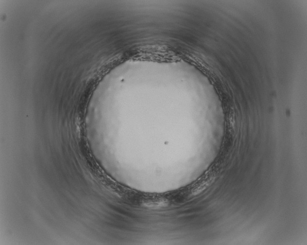 X0000067930551200605112037