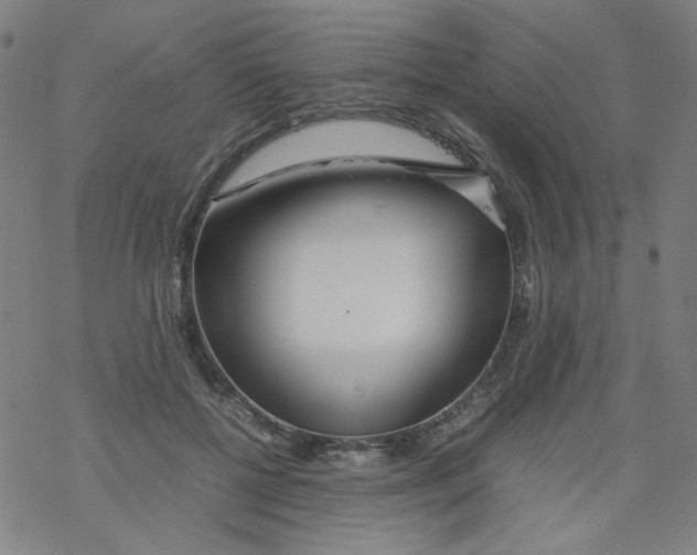X0000067930552200605112037
