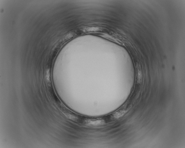 X0000067930555200605112037