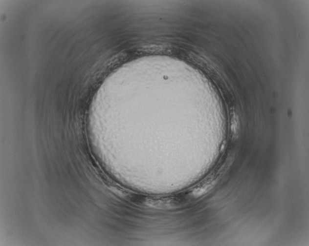 X0000067930557200605112037