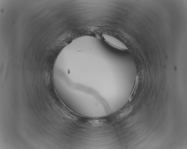 X0000067930558200605112037