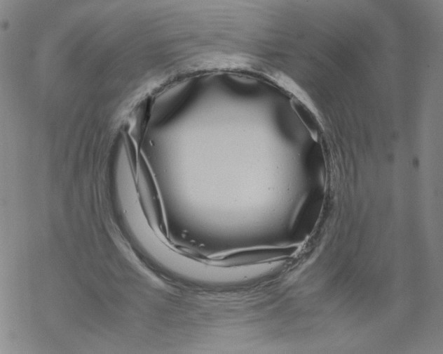 X0000067930581200605112036