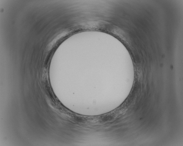 X0000067930583200605112036