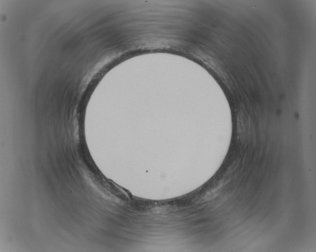 X0000067930584200605112036