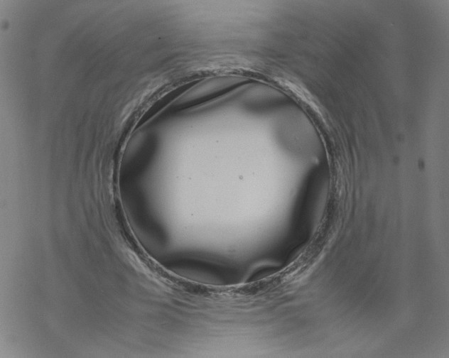 X0000067930585200605112036