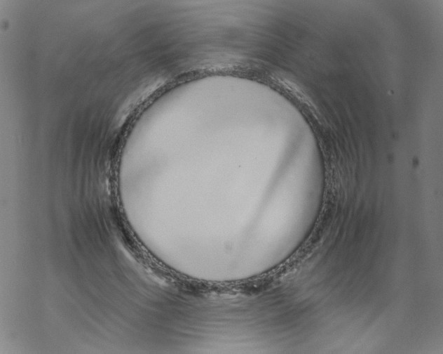 X0000067930586200605112036